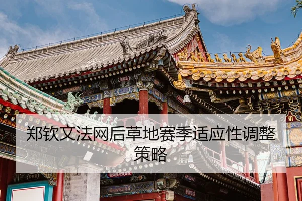 zheng-qin-wen-fa-wang-hou-cao-di-sai-ji-shi-ying-xing-tiao-zheng-ce-lve-3-699.jpg