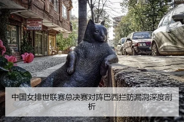 zhong-guo-nv-pai-shi-lian-sai-zong-jue-sai-dui-zhen-ba-xi-lan-fang-lou-dong-shen-du-pou-xi-3-463.jpg