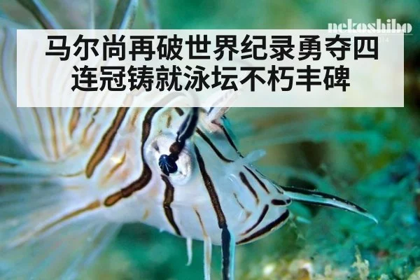 马尔尚再破世界纪录勇夺四连冠铸就泳坛不朽丰碑